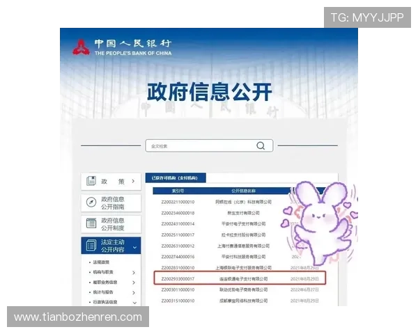 云顶国际官网官方网站支付方式与资金安全保障