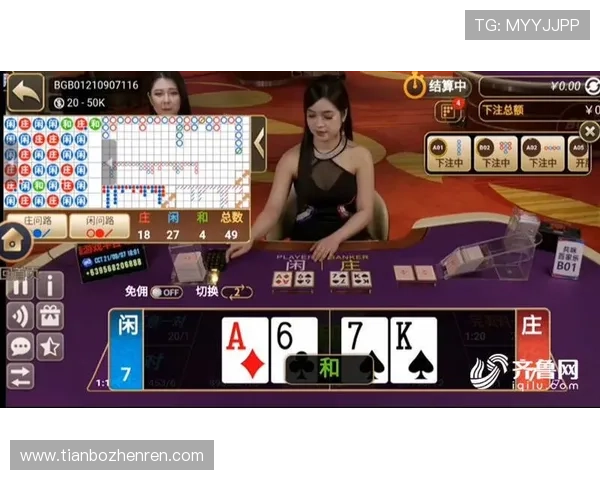 全面解析真人百家乐游戏的规则与策略提升你的胜率