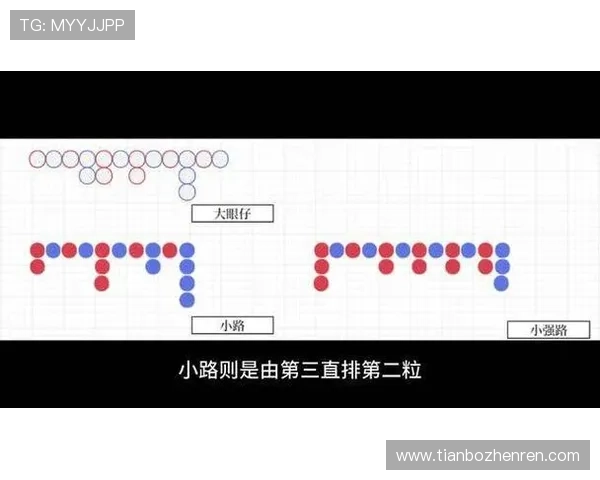 掌握百家乐下三路规则的详细流程与应用方法新手必看攻略